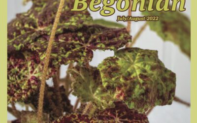 The Begonian July/August 2022
